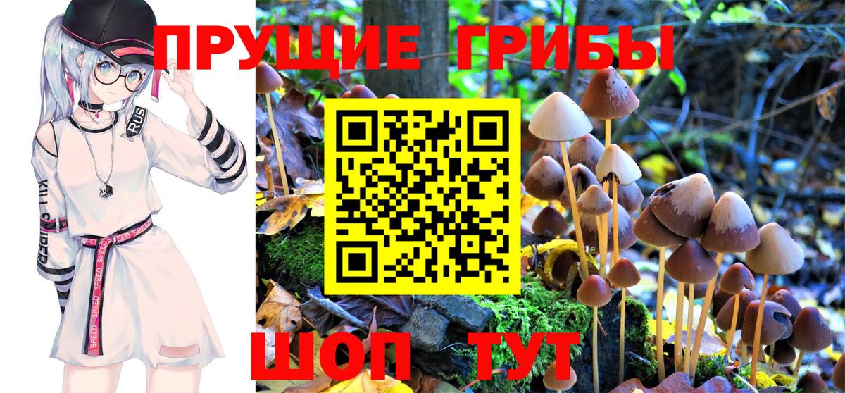 Псилоцибиновые грибы Cubensis  Вход с VPN  Шадринск 