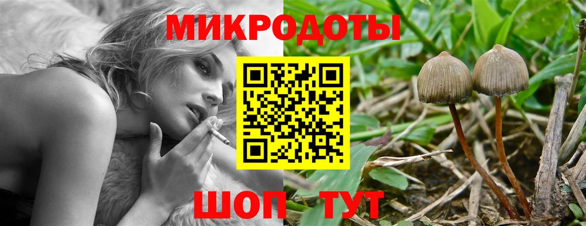 Псилоцибиновые грибы Psilocybine cubensis Шадринск